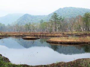 20100608_127shuusei.jpg