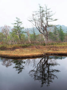 20100608_130shuusei.jpg