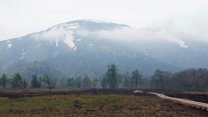 20100608_137shuusei.jpg