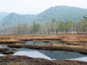 20100608_144shuusei.jpg