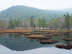 20100608_146shuusei.jpg