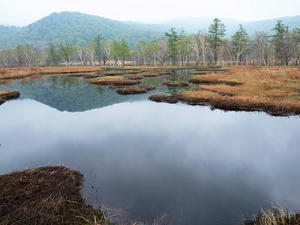20100608_147shuusei.jpg