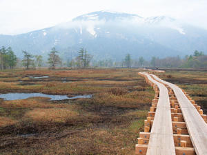 20100608_153shuusei.jpg