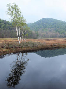 20100608_161shuusei.jpg