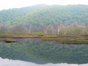 20100608_167shuusei.jpg