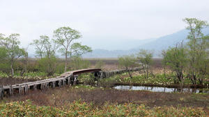 20100608_176shuusei.jpg