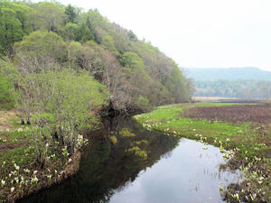 20100608_186shuusei.jpg