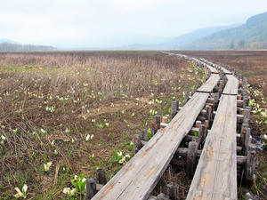 20100608_192shuusei.jpg