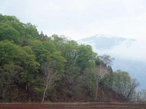 20100608_193shuusei.jpg