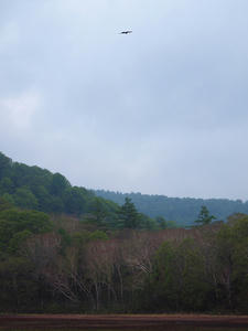 20100608_197shuusei.jpg