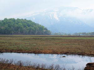 20100608_202shuusei.jpg
