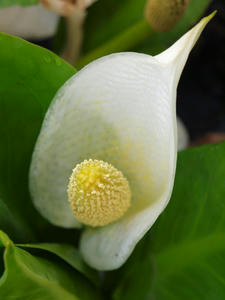 20100608_210shuusei.jpg