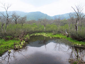 20100608_219shuusei.jpg