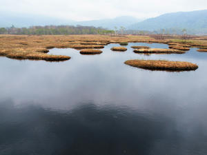 20100608_228shuusei.jpg