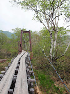 20100608_238shuusei.jpg