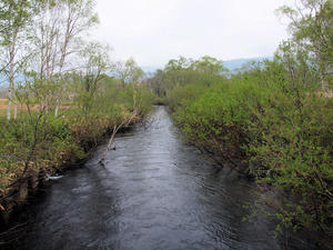 20100608_240shuusei.jpg