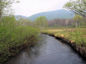 20100608_239shuusei.jpg