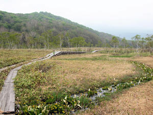 20100608_245shuusei.jpg