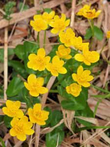 20100608_242shuusei.jpg