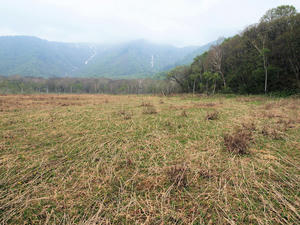 20100608_249shuusei.jpg