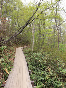 20100608_278shuusei.jpg