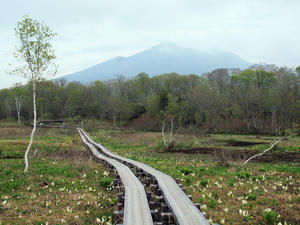 20100608_283shuusei.jpg