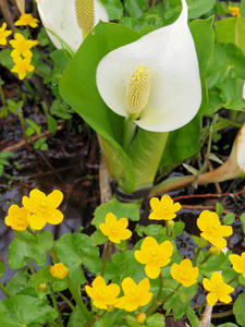 20100608_287shuusei.jpg