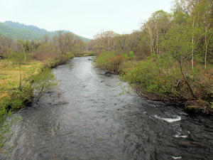 20100608_293shuusei.jpg