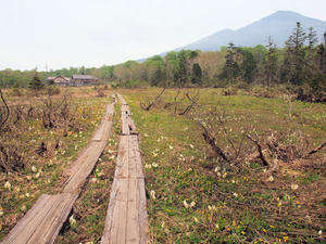 20100608_310shuusei.jpg