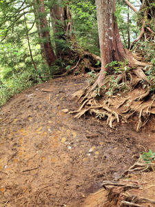 20100608_319shuusei.jpg