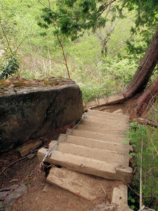 20100608_321shuusei.jpg