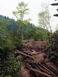 20100608_325shuusei.jpg