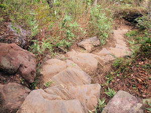 20100608_333shuusei.jpg