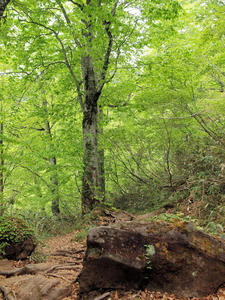 20100608_342shuusei.jpg