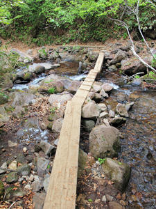 20100608_343shuusei.jpg