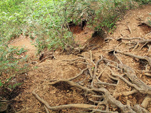 20100608_351shuusei.jpg