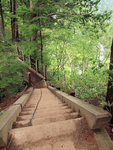 20100608_352shuusei.jpg