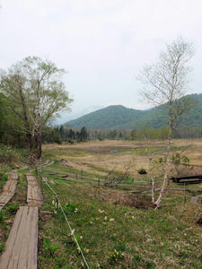 20100608_396shuusei.jpg