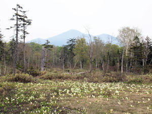 20100608_403shuusei.jpg