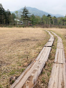 20100608_411shuusei.jpg