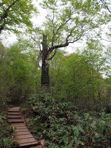 20100608_434shuusei.jpg