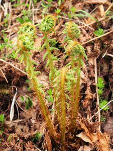20100608_443shuusei.jpg