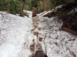 20100608_456shuusei.jpg