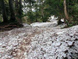 20100608_458shuusei.jpg