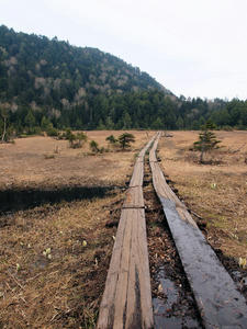 20100608_467shuusei.jpg