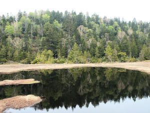 20100608_472shuusei.jpg