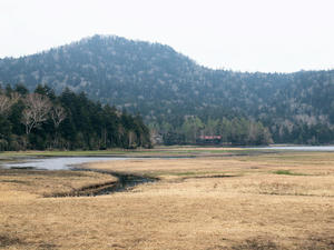 20100608_549shuusei.jpg