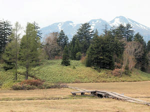 20100608_583shuusei.jpg