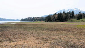20100608_587shuusei.jpg