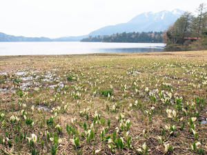 20100608_624shuusei.jpg